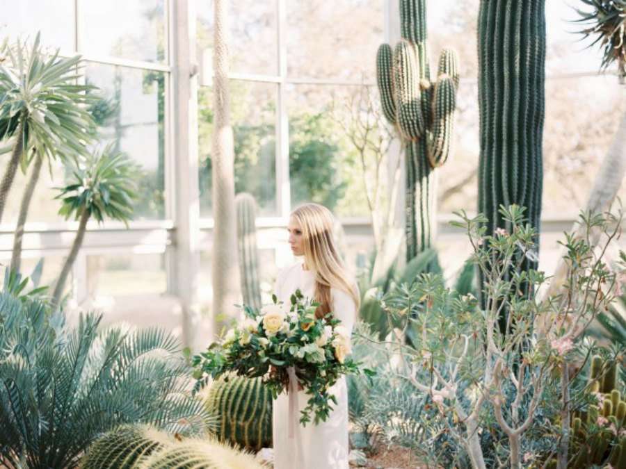 ideas para una boda entre cactus