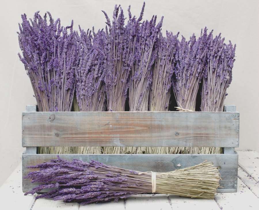 ramos de lavanda para boda 