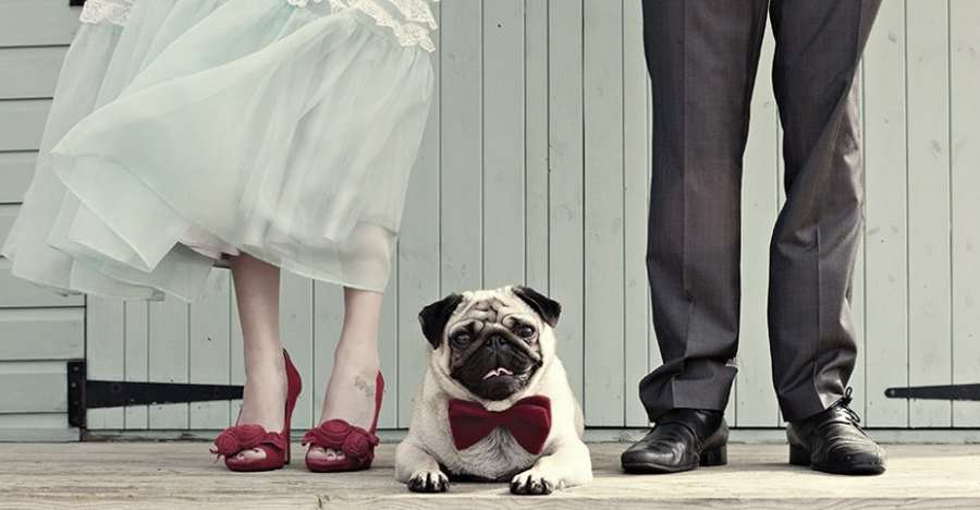 ¿ Asistirá tu mejor amigo a la boda ? Mi mejor amigo en mi boda